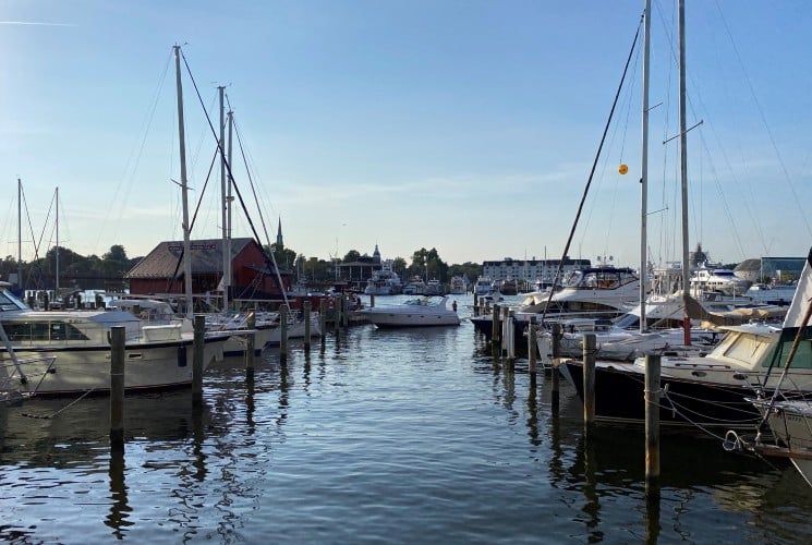 A marina with slips full of various kinds of boats and blue skies overhead